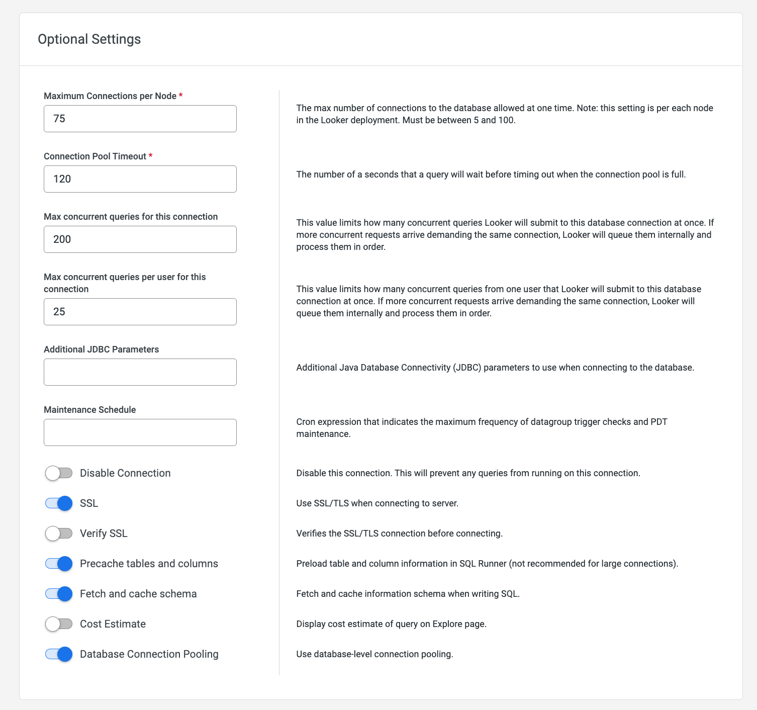 Looker optional settings with SSL and database connection pooling enabled
