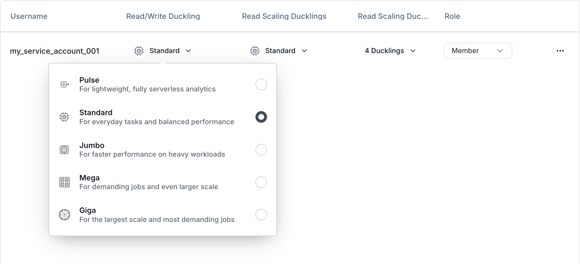 Service account Duckling size settings